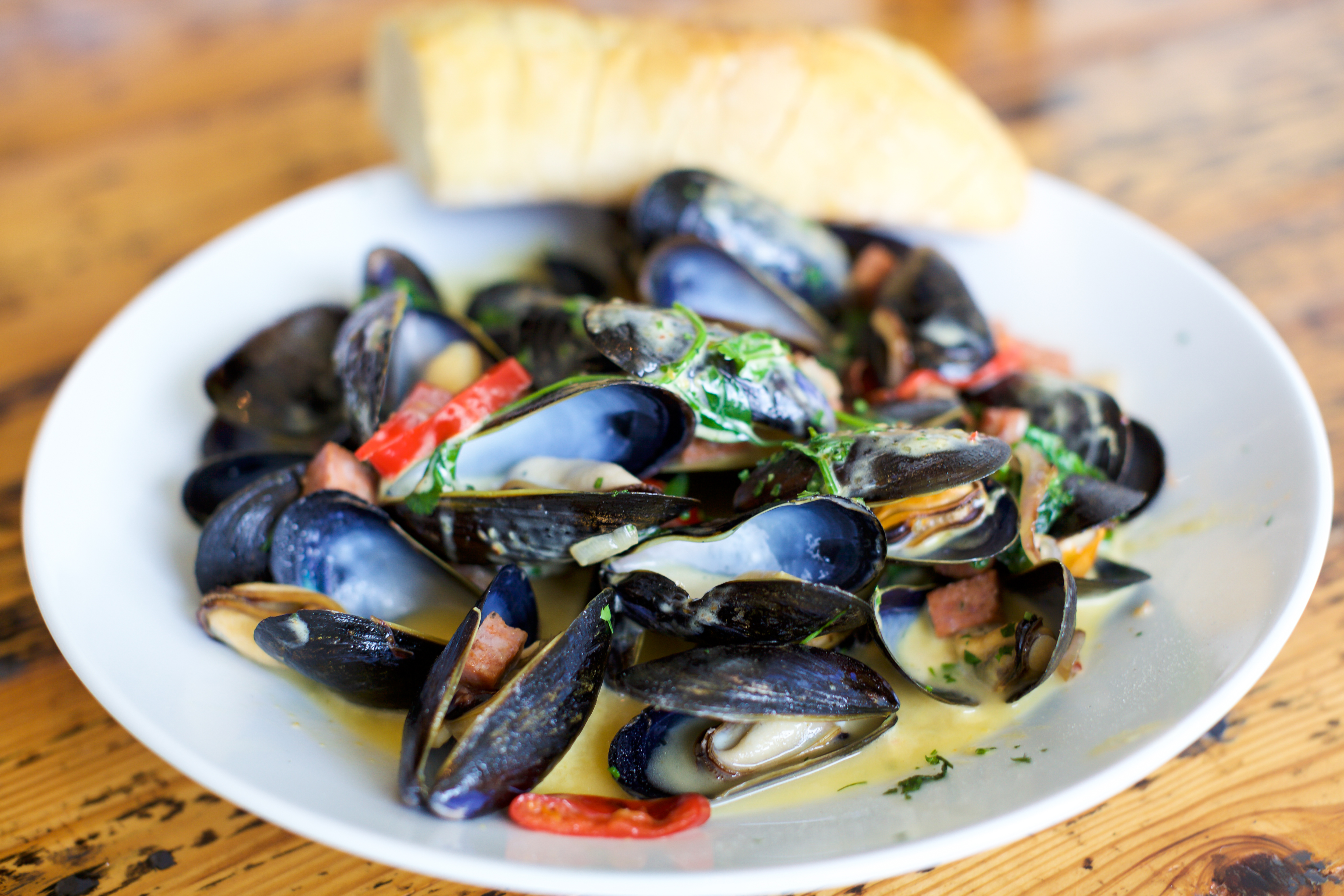 Mussels
