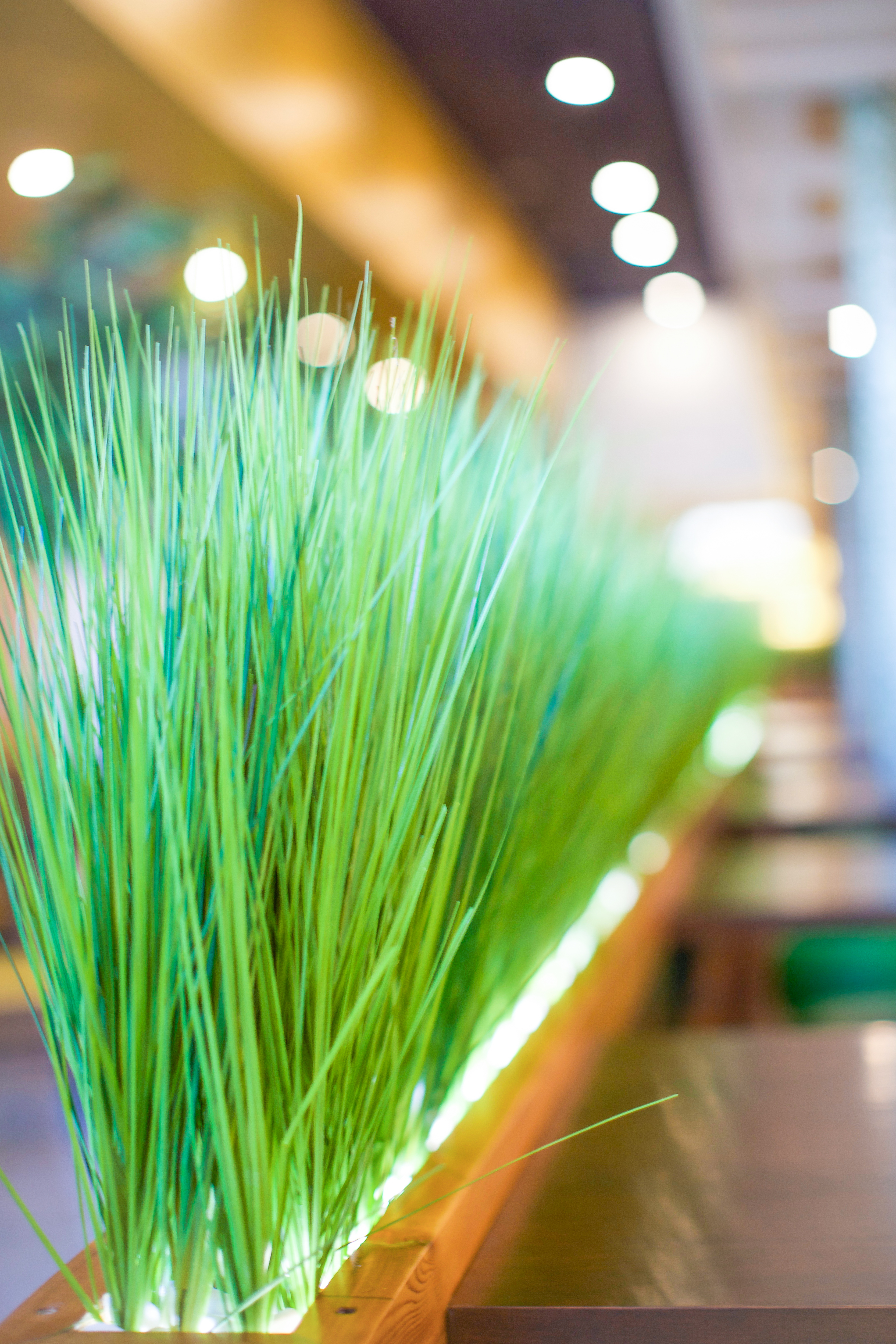 Restaurant Green Decor